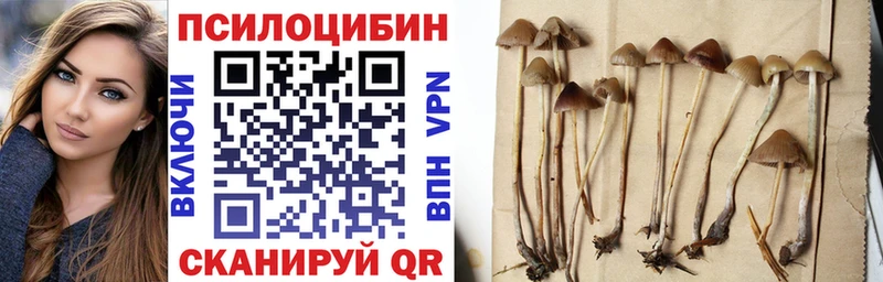Галлюциногенные грибы MAGIC MUSHROOMS omg tor Йошкар-Ола