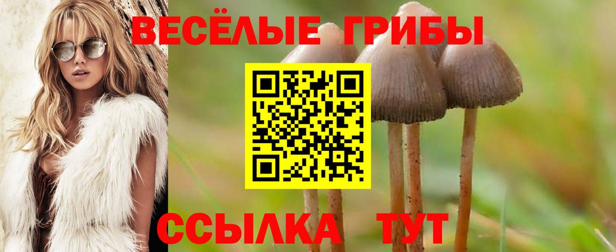 Йошкар-Ола  Псилоцибиновые грибы GOLDEN TEACHER  Вход с VPN 